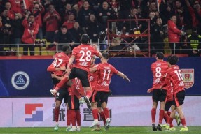 电视剧血战淞沪