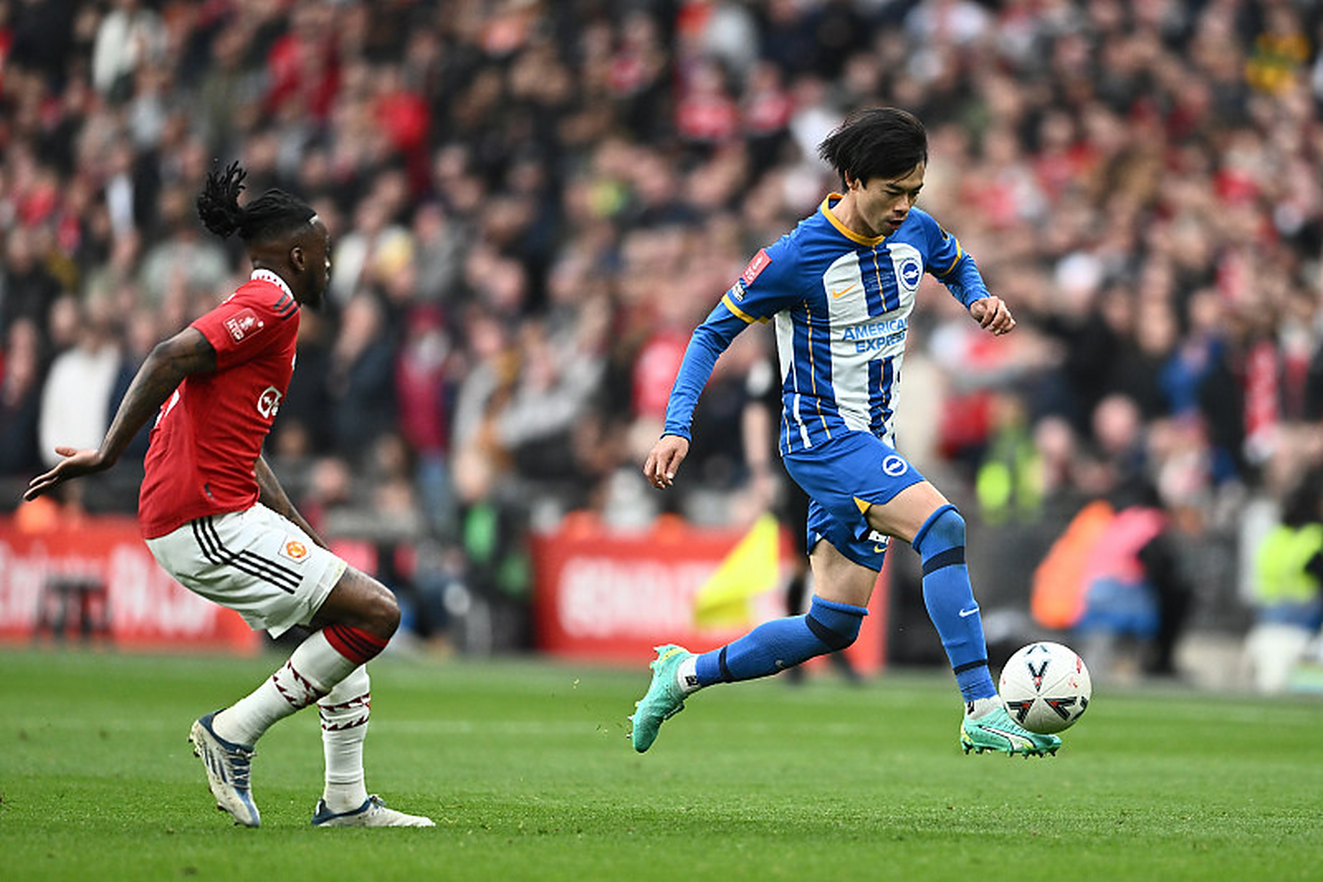 布莱顿迎足总杯关键赛,转会期刷新队史纪录,引发热议,球探报告显示潜力(布莱顿足球俱乐部阵容) 布莱顿迎足总杯关键赛,转会期刷新队史纪录,引发热议,球探报告显示潜力(布莱顿足球俱乐部阵容)